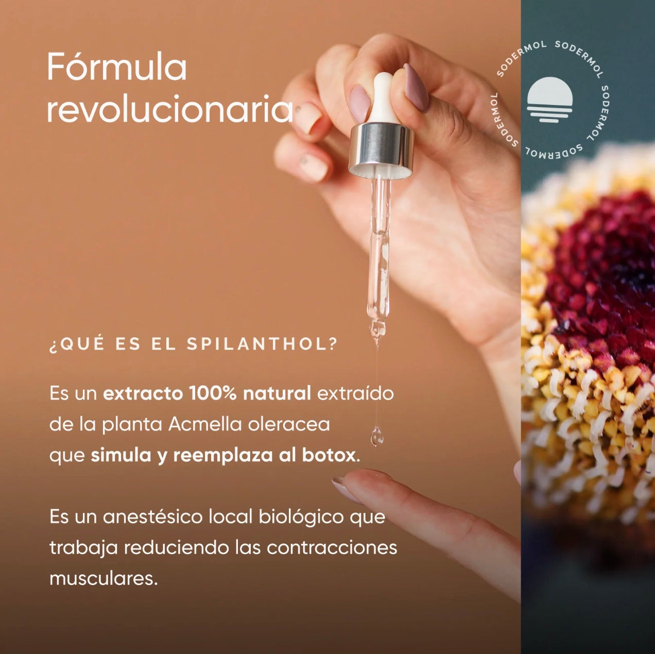 SERUM EFECTO BOTOX FIX EXPRESSION